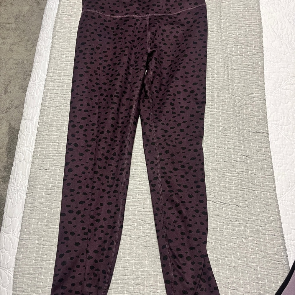 Women Polka Dot Leggings - Black and Purple